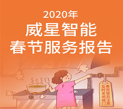 2020年威星智能春節(jié)服務報告
